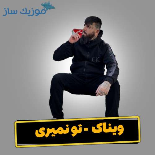دانلود آهنگ ویناک تو نمیری
